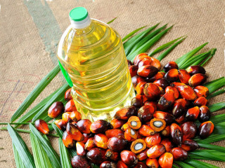Откуда берётся пальмовое масло?