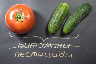 Тест огурцов и помидоров