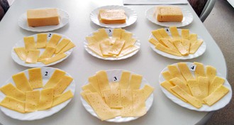 Тест российского сыра